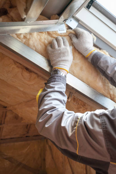 Best Professional Insulation Contractor  in Weyauwega, WI