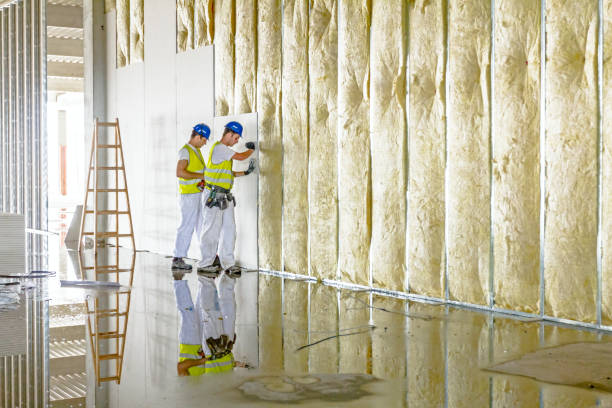 Best Spray Foam Insulation  in Weyauwega, WI